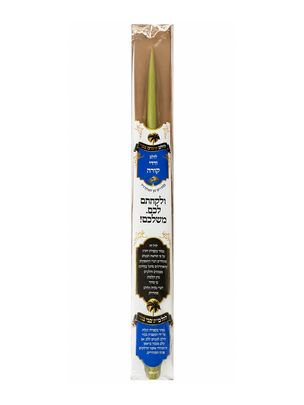 Mehudar Deri Lulav with Korah
