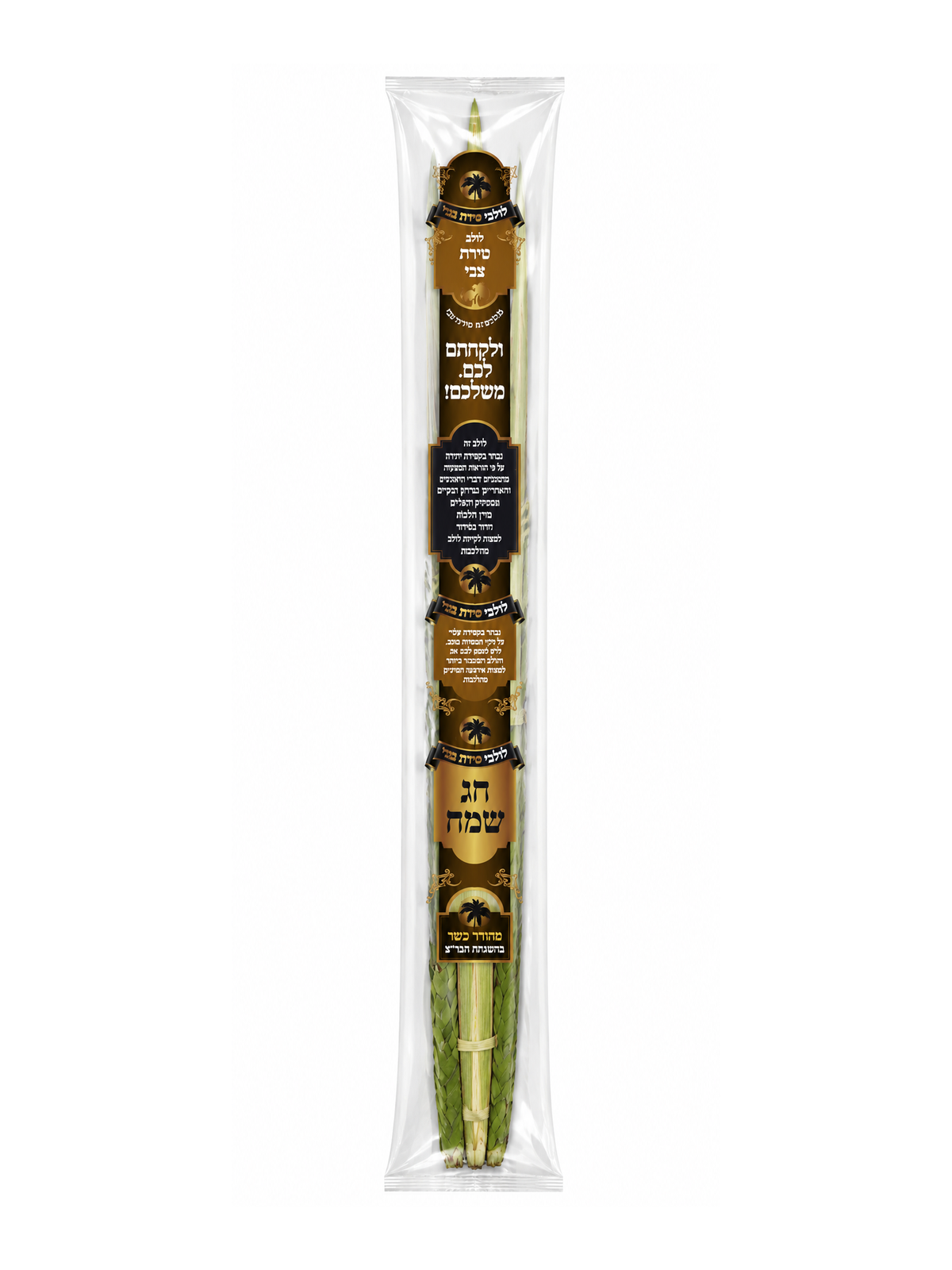 Chinuch Deri Lulav
