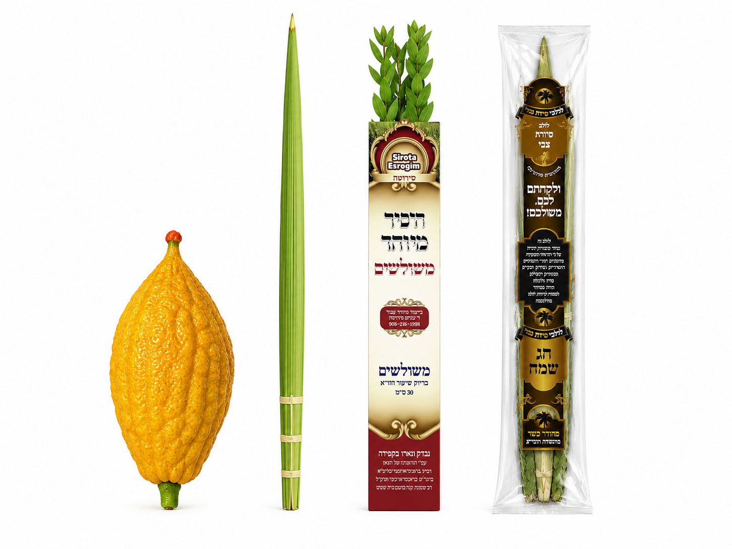 Chinuch Set